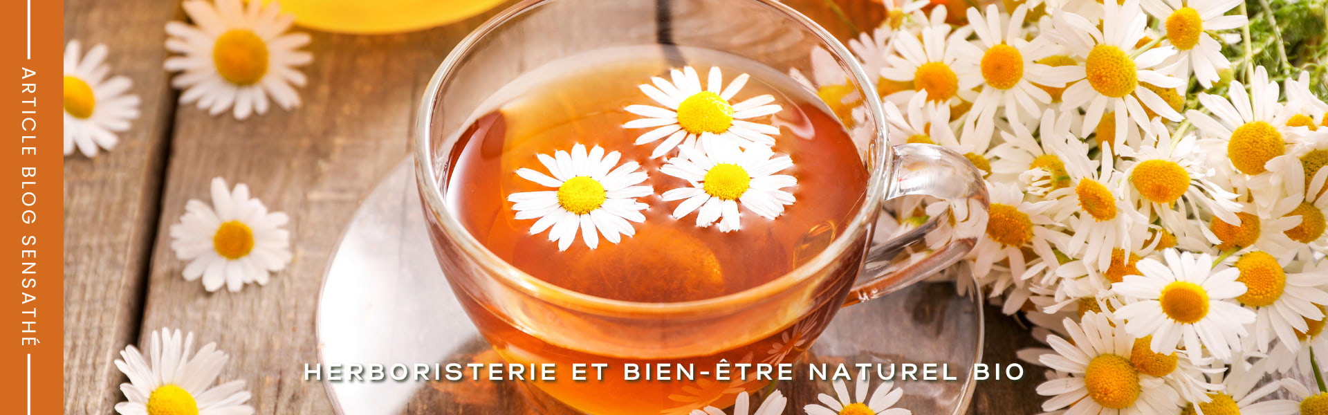 Infusion antispasmodique de camomille - Herboristerie Sensathé